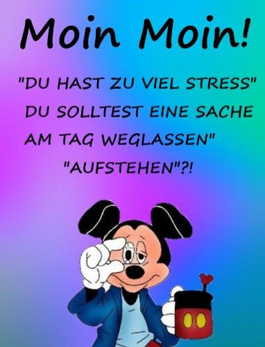 Lustige und kostenlose Moin Bilder für WhatsApp Entdecke lustigen